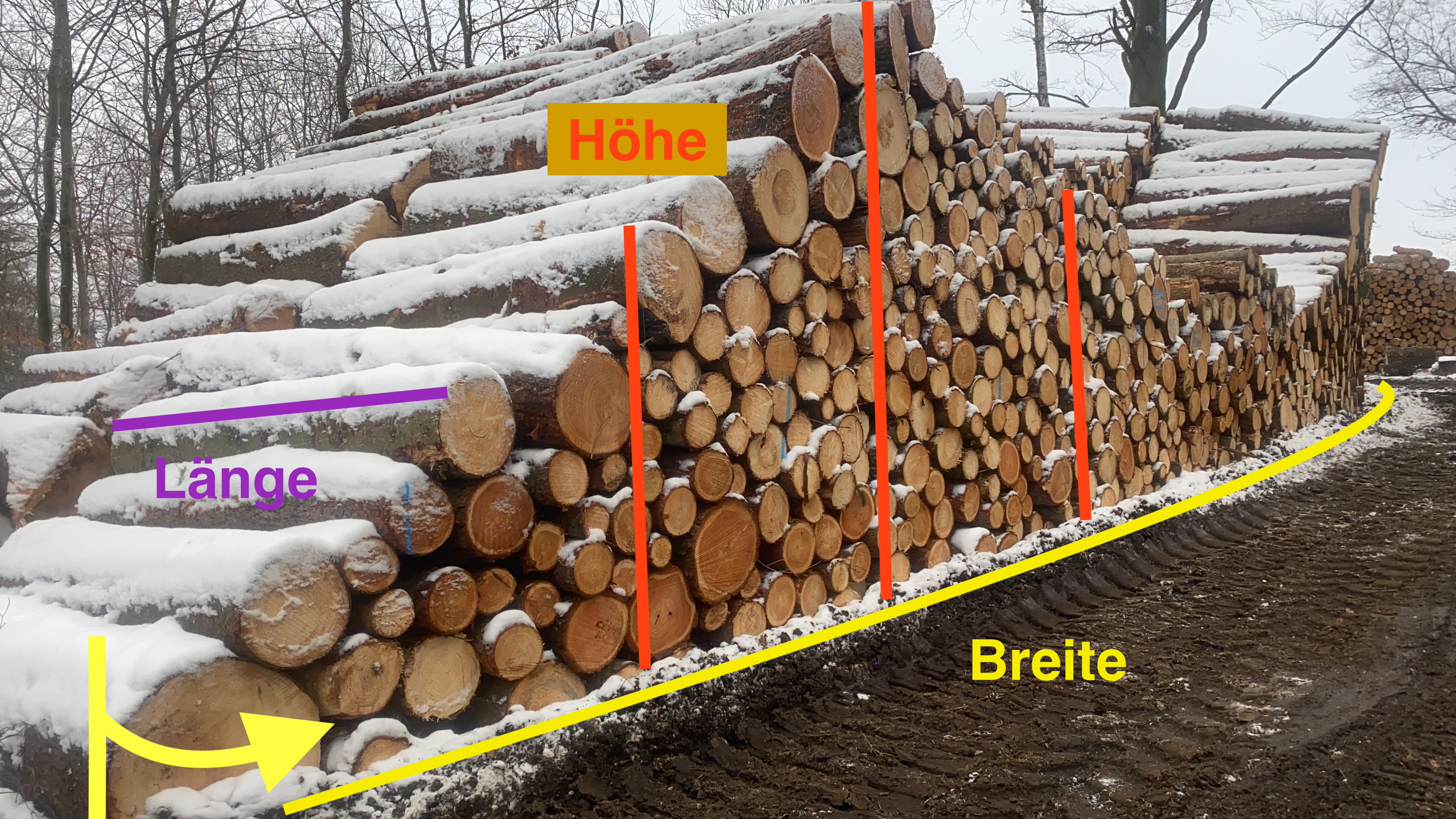 Holzpolter